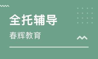 石家庄托管爆料事件最新,揭秘校园安全隐患与家长焦虑  第2张